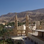 How do I convince my family and friend about my monastic calling? - St Shenouda Monastery Pimonakhos Articles