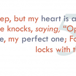 I Sleep but my heart is awake, Song of Songs - St Shenouda Monastery Pimonakhos Articles