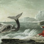 Jonah the Prophet - St Shenouda Monastery Pimonakhos Articles