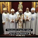 Priesthood Is A Specific Calling - St Shenouda Monastery Pimonakhos Articles