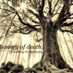 The Memory of Death - St Shenouda Monastery Pimonakhos Articles