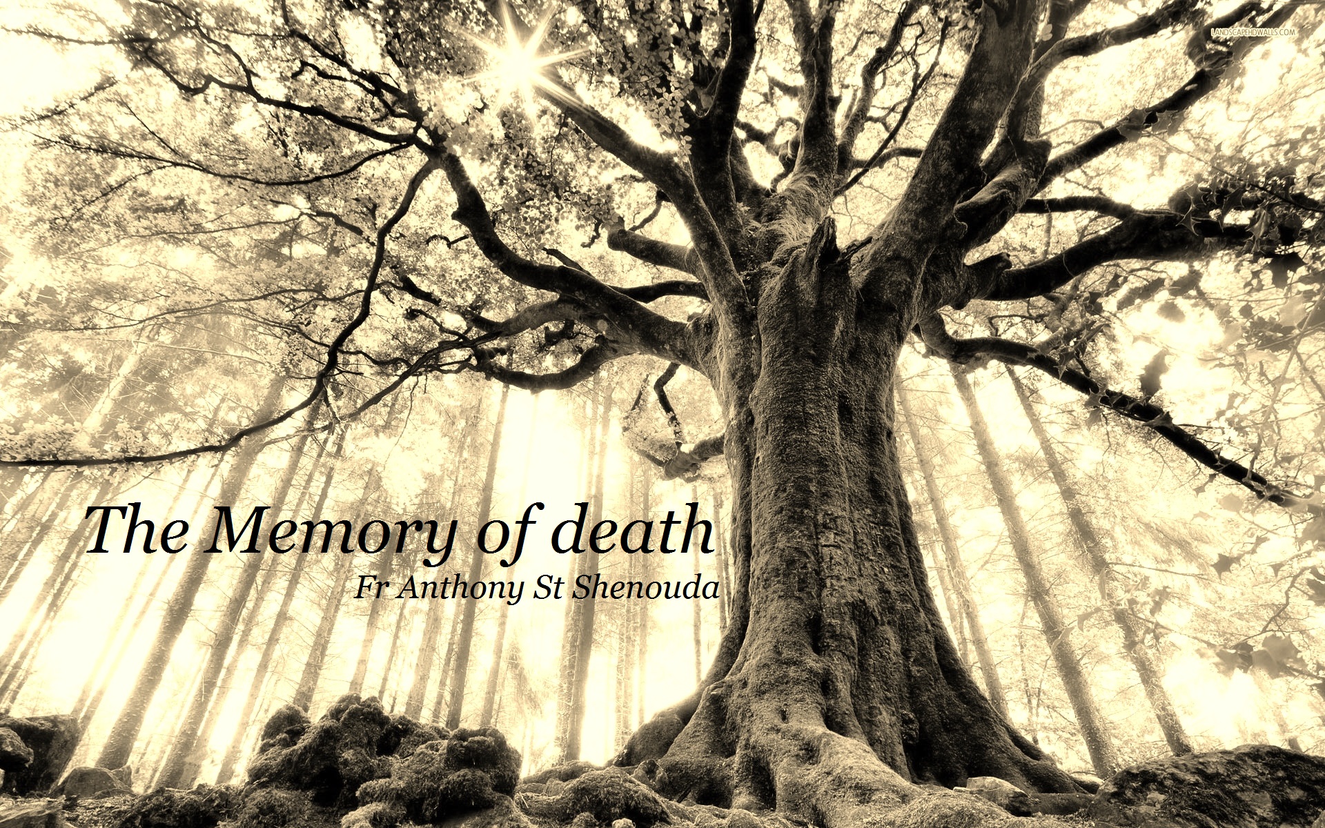 The Memory of Death - St Shenouda Monastery Pimonakhos Articles