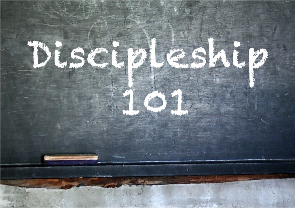 What Is Discipleship? - St Shenouda Monastery Pimonakhos Articles