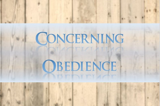 Concerning Obedience - St Shenouda Monastery Pimonakhos Articles