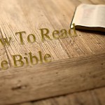 How To Read The Bible - St Shenouda Monastery Pimonakhos Articles
