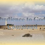 Obedience To God's Command - St Shenouda Monastery Pimonakhos Articles