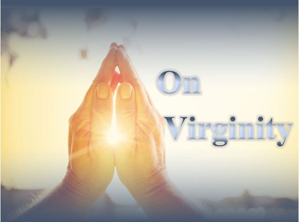 On Virginity - St Shenouda Monastery Pimonakhos Articles