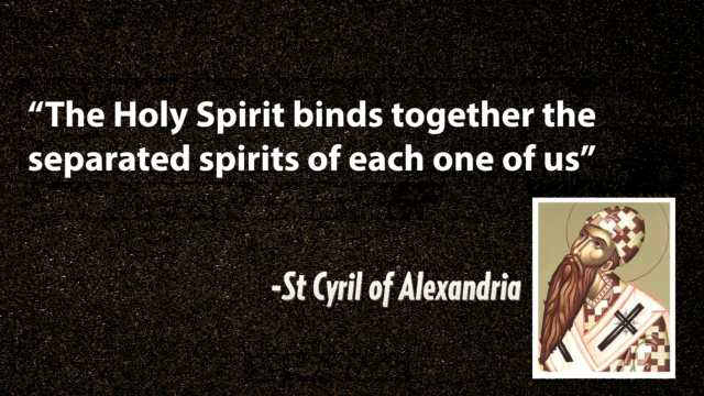 One Body & One Spirit | St Shenouda Monastery Pimonakhos Articles