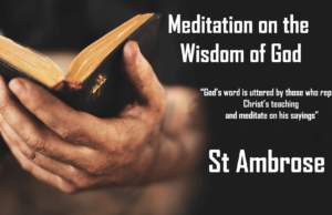 Meditation on the Wisdom of God | St Shenouda Monastery Pimonakhos Articles