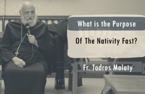 What Is The Purpose Of The Nativity Fast (Advent Fast)? | St Shenouda Monastery Pimonakhos Articles