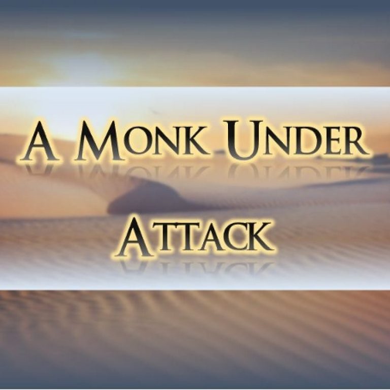 A Monk Under Attack - St Shenouda Monastery Pimonakhos Articles