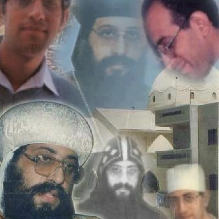 Biography of H.H. Pope Tawadros II - St Shenouda Monastery Pimonakhos Articles