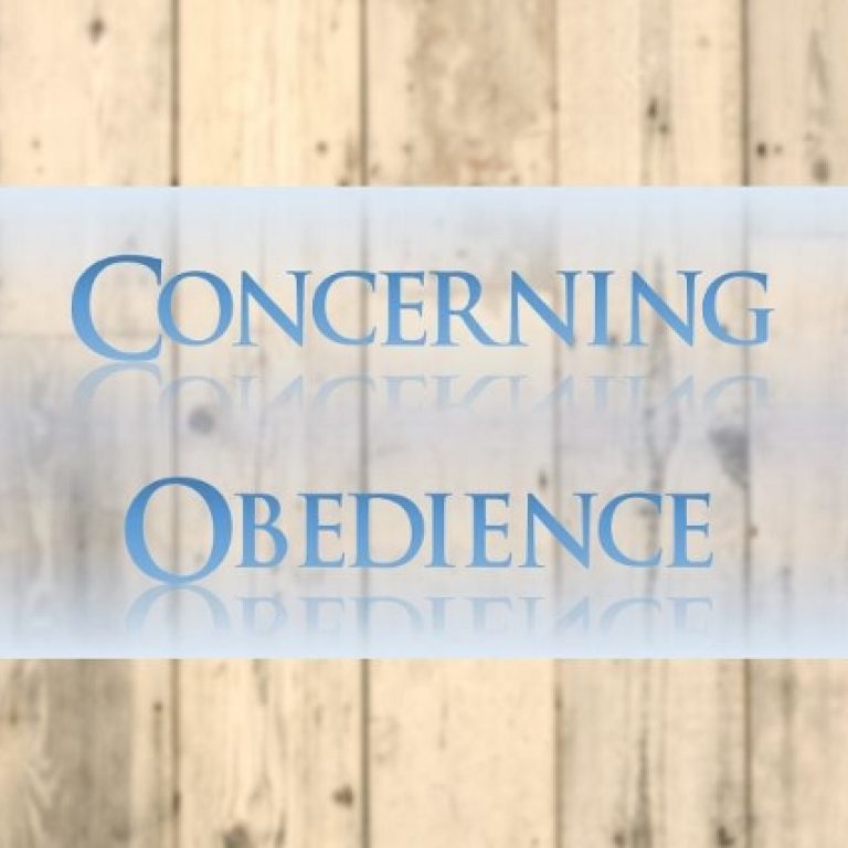 Concerning Obedience - St Shenouda Monastery Pimonakhos Articles
