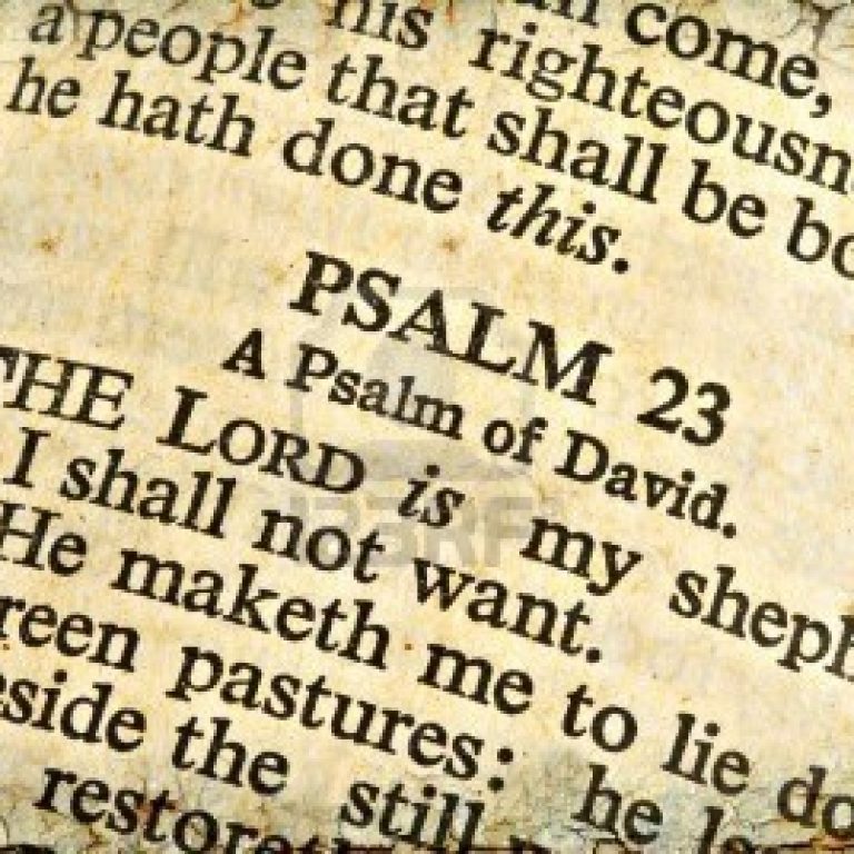 Contemplation On Psalm 23 - St Shenouda Monastery Pimonakhos Articles