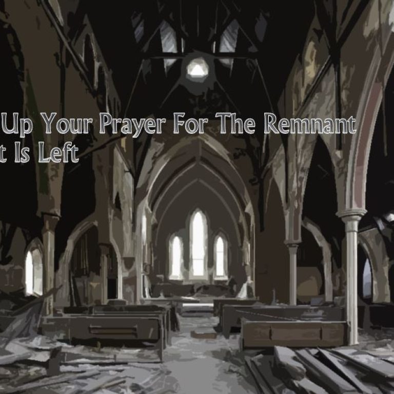 Lift Up Your Prayer For The Remnant That Is Left - St Shenouda Monastery Pimonakhos Articles