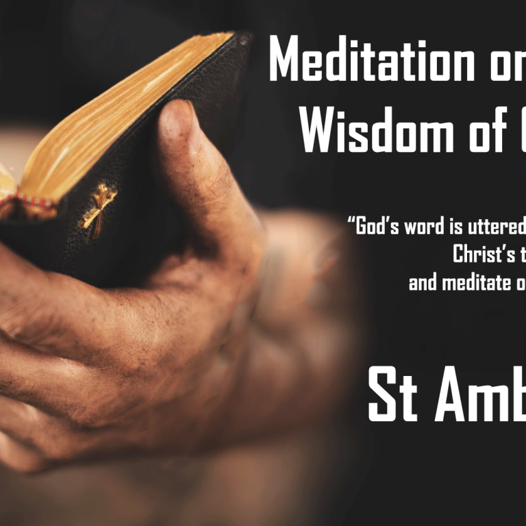 Meditation on the Wisdom of God | St Shenouda Monastery Pimonakhos Articles