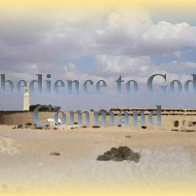 Obedience To God's Command - St Shenouda Monastery Pimonakhos Articles