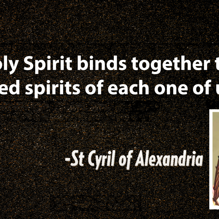 One Body & One Spirit | St Shenouda Monastery Pimonakhos Articles