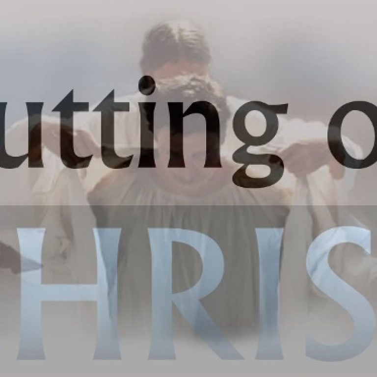Putting on Christ - St Shenouda Monastery Pimonakhos Articles