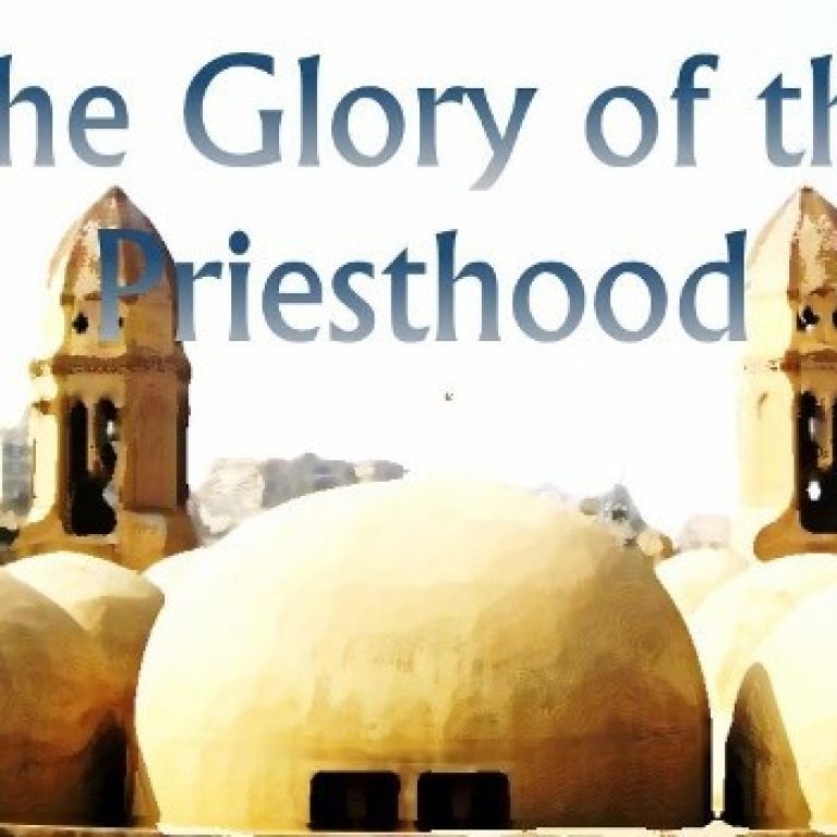 The Glory of the Priesthood - St Shenouda Pimonakhos Articles