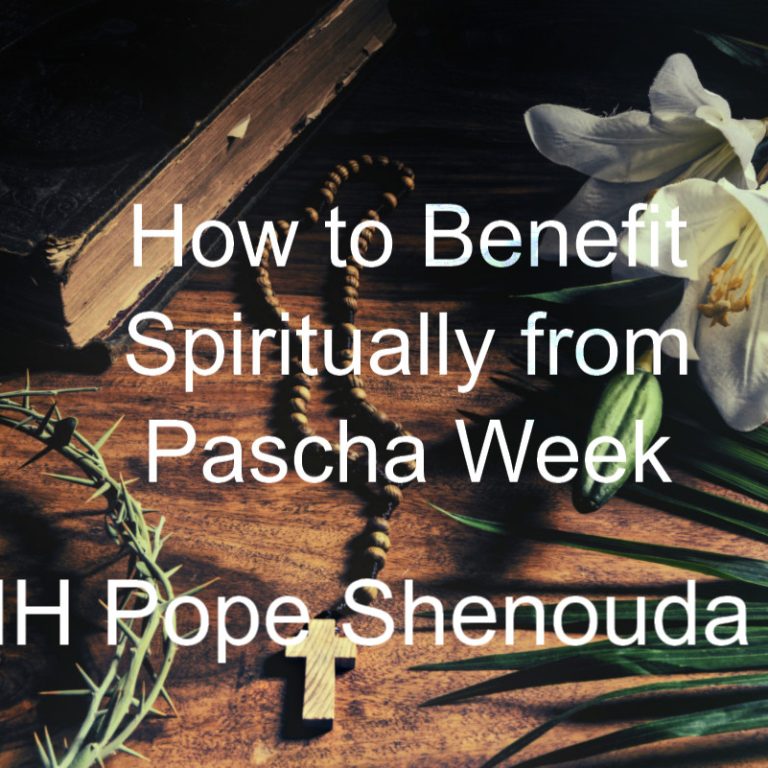 final benefity hhsp